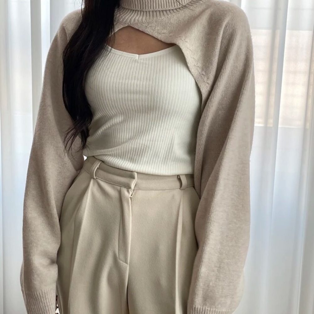 Beigw Turtleneck Sweater Balaro